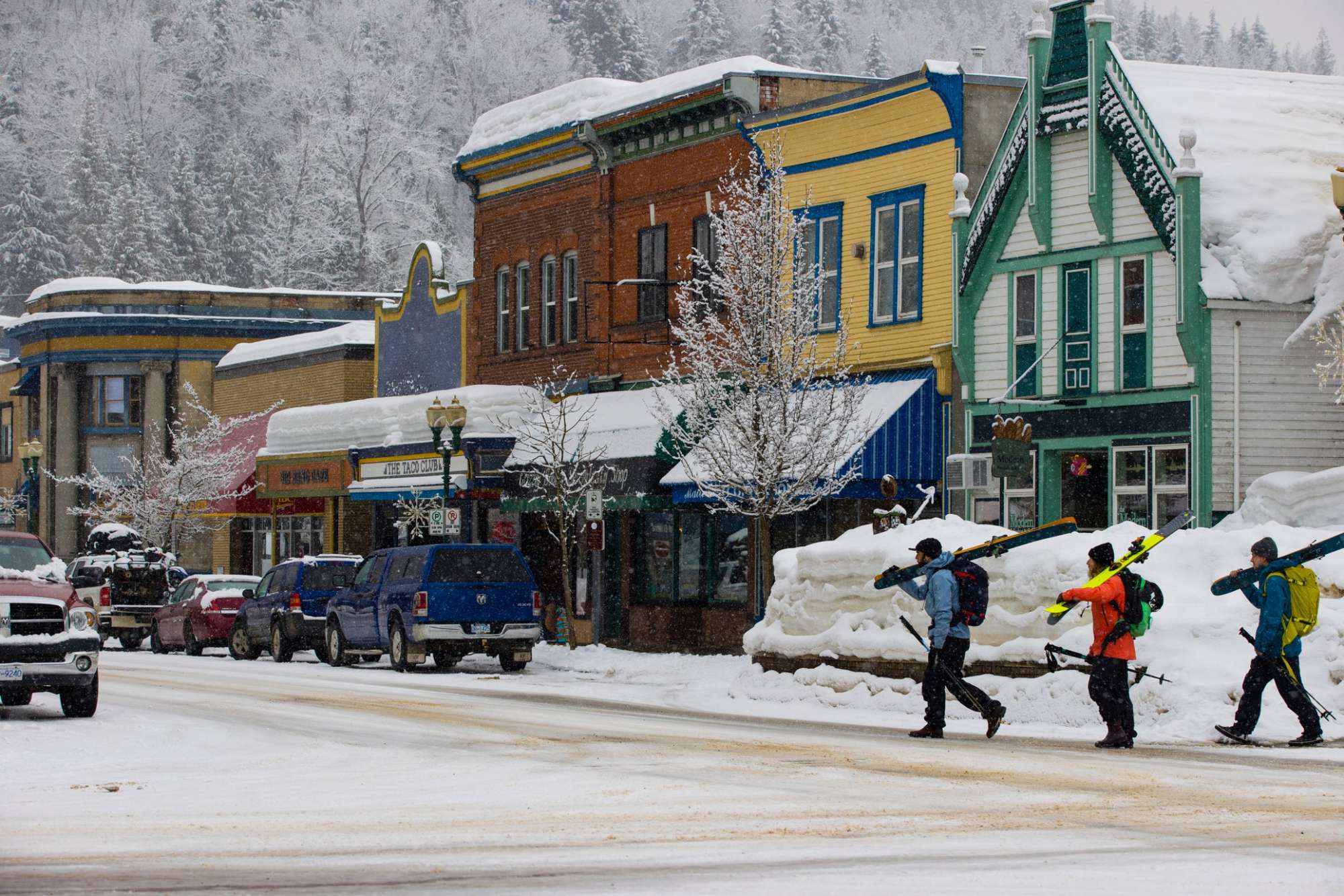 Wooden boardwalk trail through lush green forest near Revelstoke
